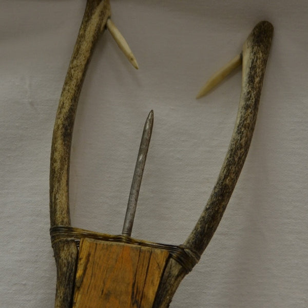 Inuit fish spear - trident close up