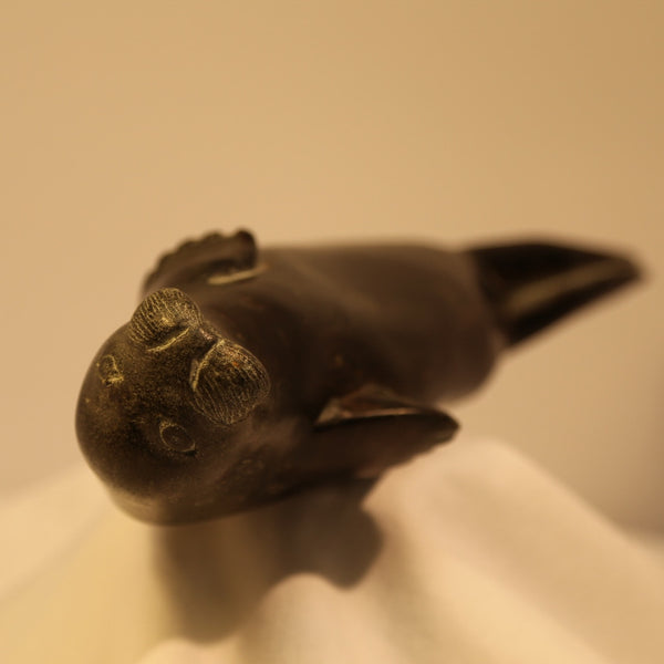 Basking spotted seal inuit carving