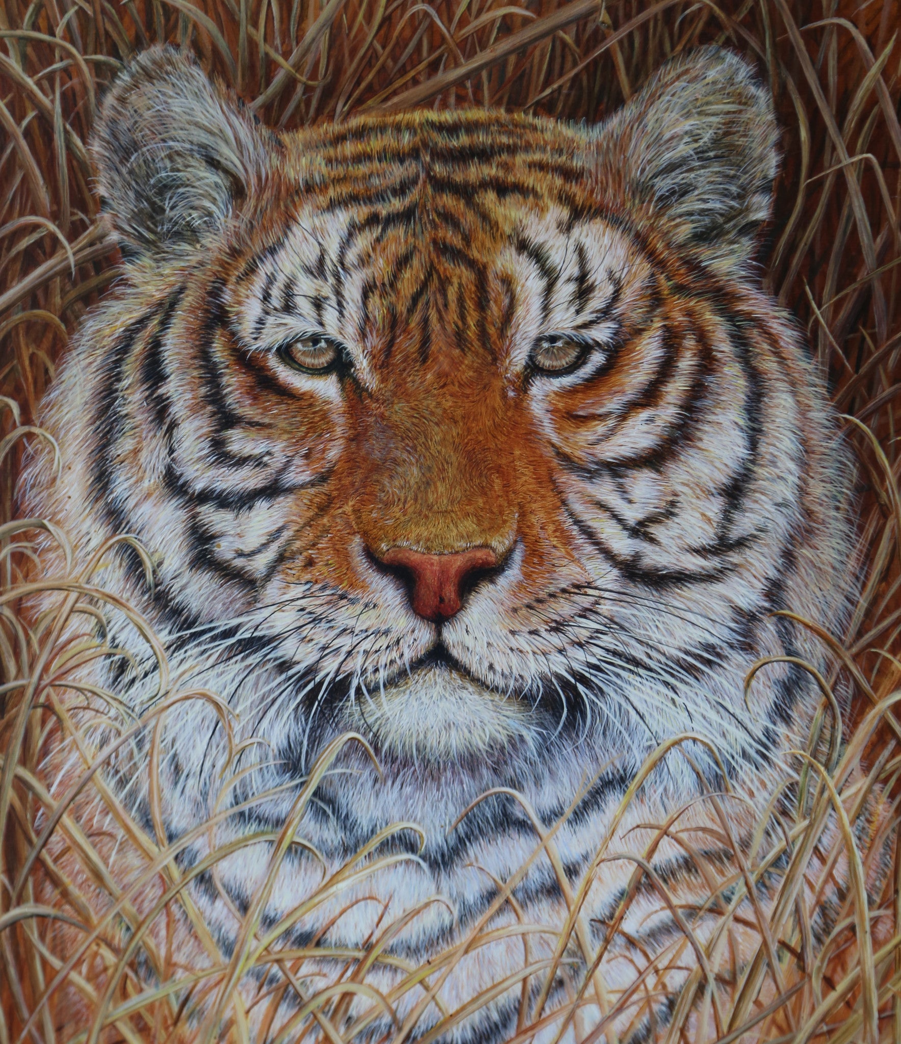 Tiger painting by Stephen Hewer close up